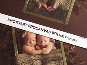 photoartprocanvasmate