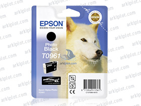 Epson T0961 negro foto