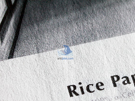 Hahnemühle Rice Paper 100g