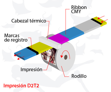 La primera impresora fotográfica compacta con rollo - Blog